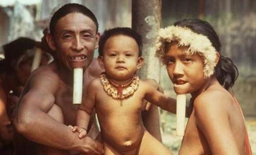 成人插插视频,情感与欲望的交织