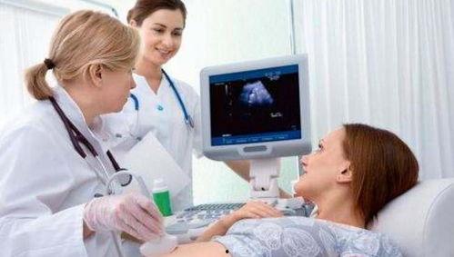 从胚胎到成人的视频