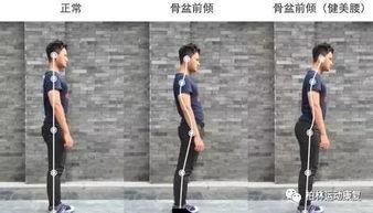 成人肩部训练视频教学,跟随专业视频教程高效训练