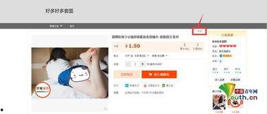 成人网络视频,揭秘成人娱乐产业的魅力与争议