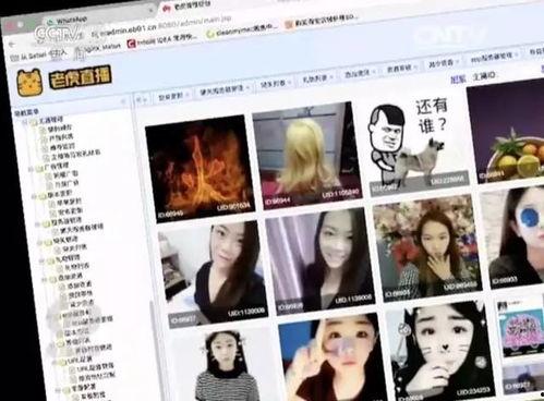 成人的直播视频,真实画面背后的故事与启示