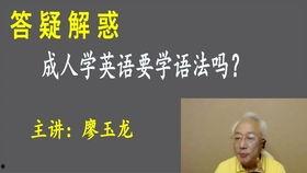 成人学英语视频教程,成人学英语视频教程精华汇总