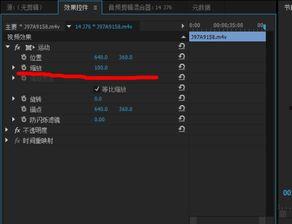 成人网络视频剪辑,成人世界的浓缩与反思